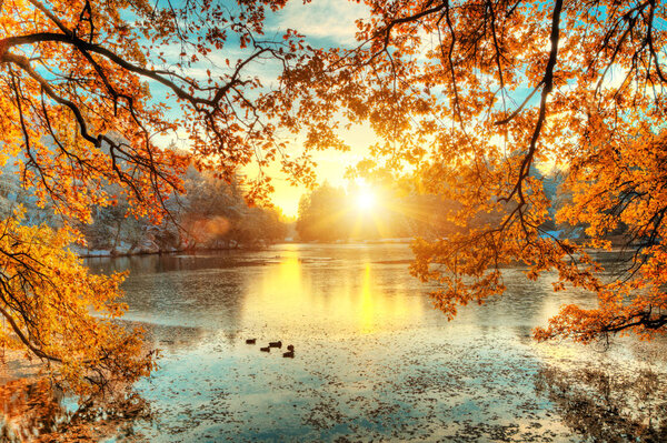 Осенью раскрашивали деревья с озером, фотографировали пейзажи.
