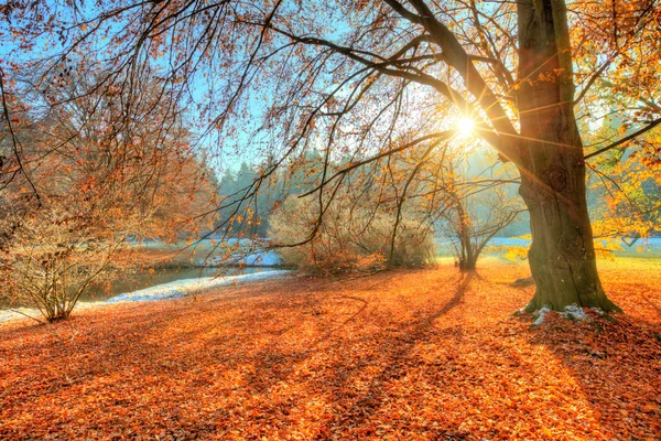 Mooie gekleurde bomen in de herfst landschapsfotografie — Stockfoto