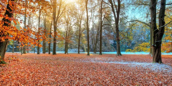 Ősz, táj fotózás-gyönyörű színes fák — Stock Fotó