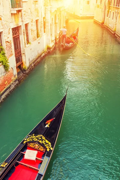 Venetian gondolier punting gondola in water canal with green wat — Stock Photo, Image