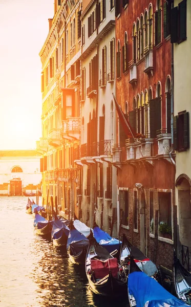 Historical streets in water canal filled with green water, Venic — Stock Photo, Image