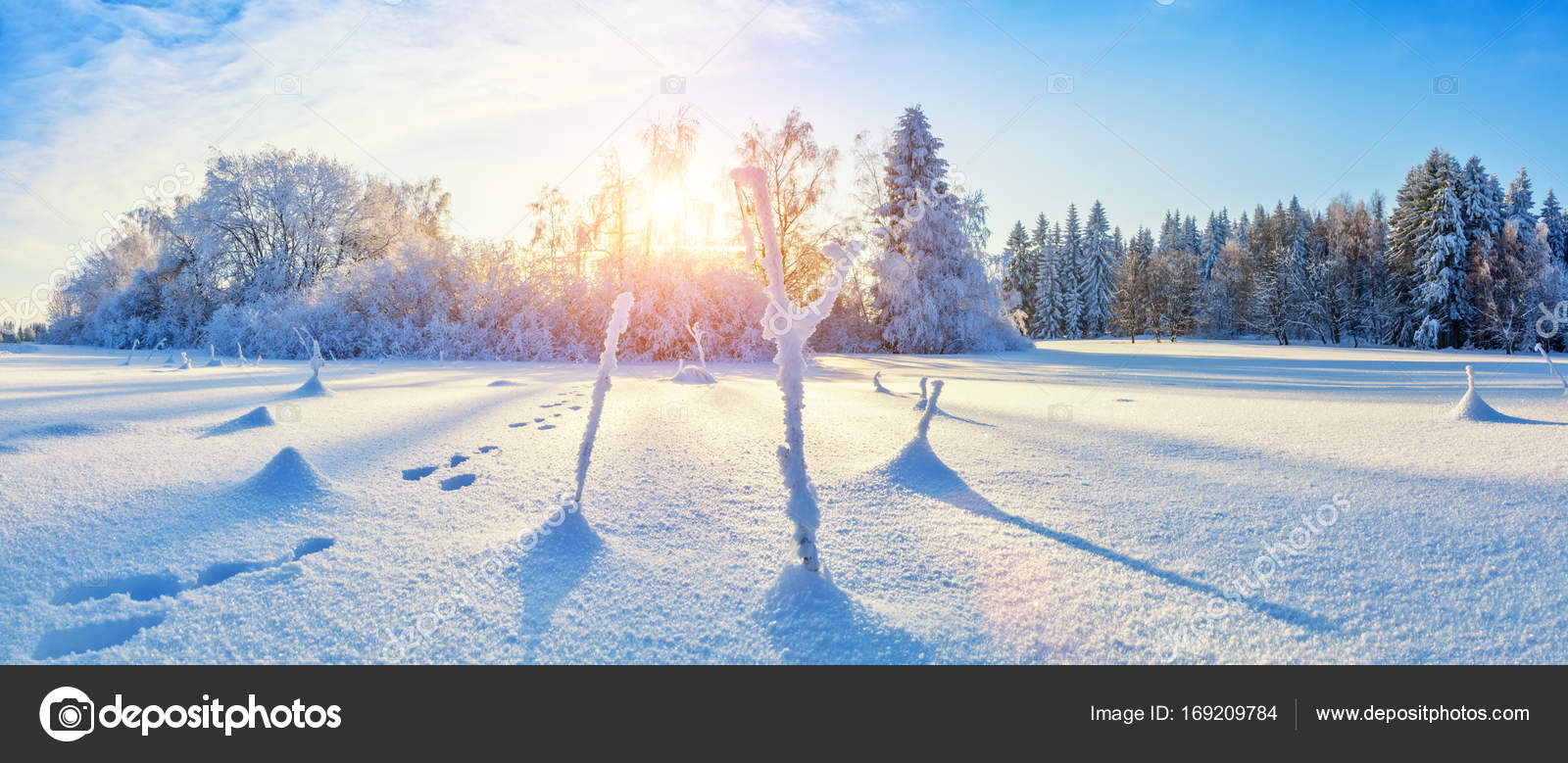 Beau panorama paysage enneigé avec forêt en arrière-plan — Photo de stock  par ©jag_cz - 169209784, image size:1600x779