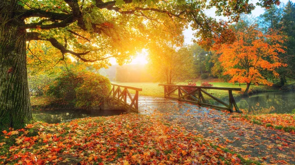 A park gyönyörű őszi táj. — Stock Fotó