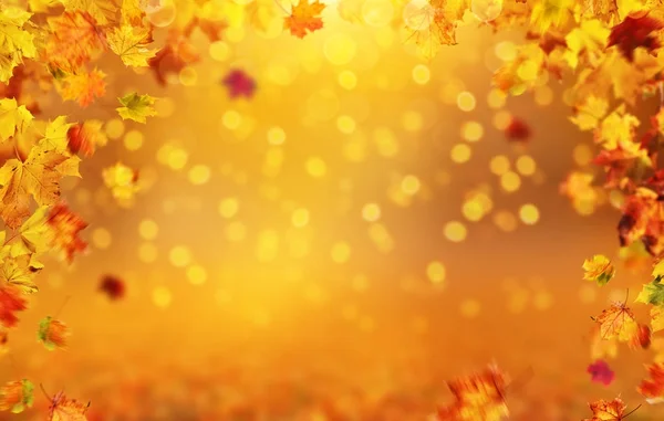 飘落的树叶，秋天背景文本的自由空间 — 图库照片