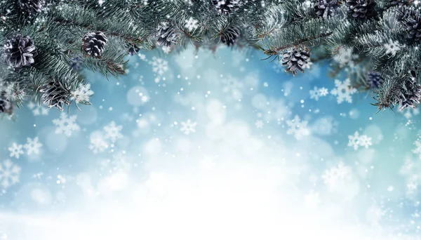 खजूर के पेड़ की शाखाओं और शंकु के साथ क्रिसमस पृष्ठभूमि — स्टॉक फ़ोटो, इमेज