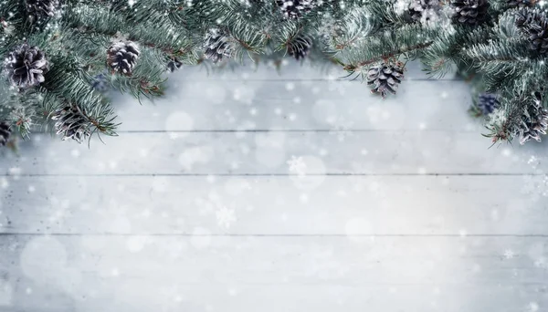 Christmas background with spruce branches and cones with snow fl — Stock Photo, Image