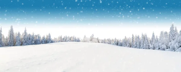 Panoramisch winterlandschap met bos op de achtergrond — Stockfoto