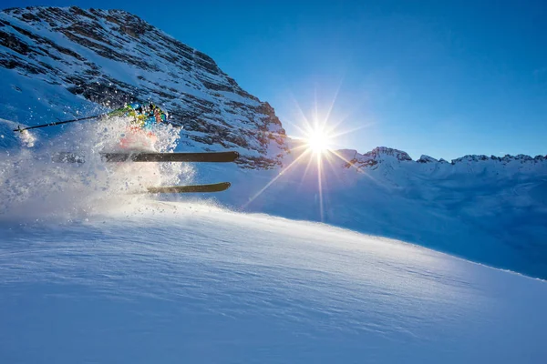 Freerider esquiador saltando en polvo fresco nieve — Foto de Stock