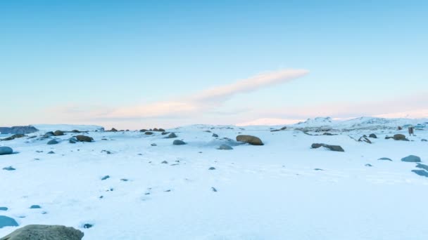在冰岛著名的黑色海滩的时间推移与美丽的日出光 — 图库视频影像