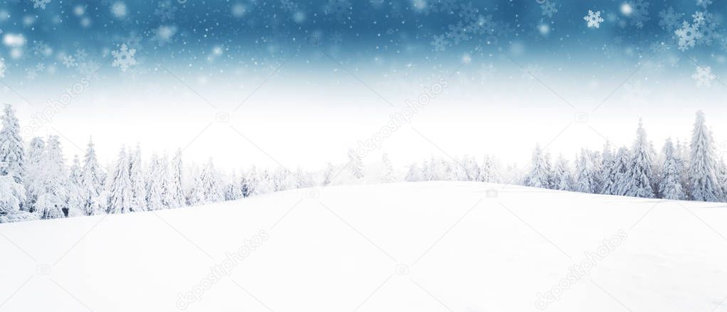 Winter forest and meadow landscape with snow flakes. 