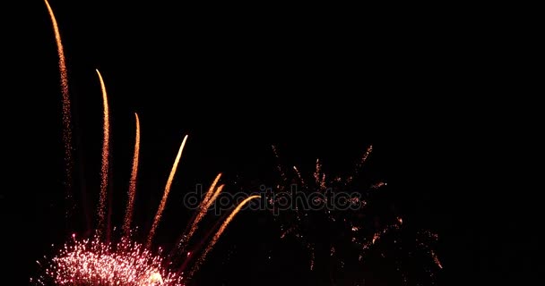 Movimiento Lento Hermosos Fuegos Artificiales Separados Sobre Fondo Negro — Vídeos de Stock