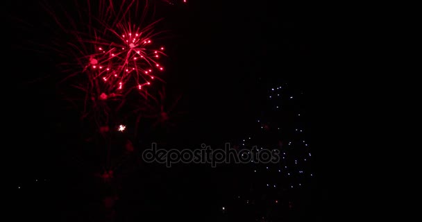 Zeitlupe Schöner Feuerwerke Getrennt Auf Schwarzem Hintergrund — Stockvideo