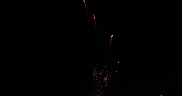 Movimiento Lento Hermosos Fuegos Artificiales Separados Sobre Fondo Negro — Vídeos de Stock