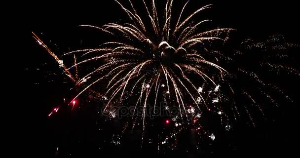 Movimiento Lento Hermosos Fuegos Artificiales Separados Sobre Fondo Negro — Vídeos de Stock