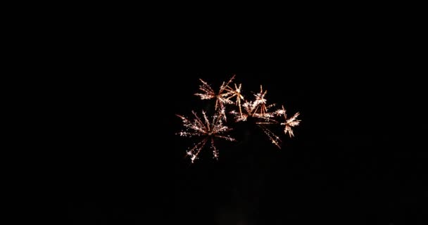 Lassú Mozgás Külön Fekete Háttér Gyönyörű Tűzijáték — Stock videók