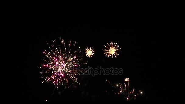 Movimiento Lento Hermosos Fuegos Artificiales Separados Sobre Fondo Negro — Vídeos de Stock