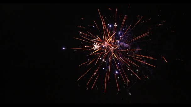 Movimento Lento Bellissimi Fuochi Artificio Separati Sfondo Nero — Video Stock