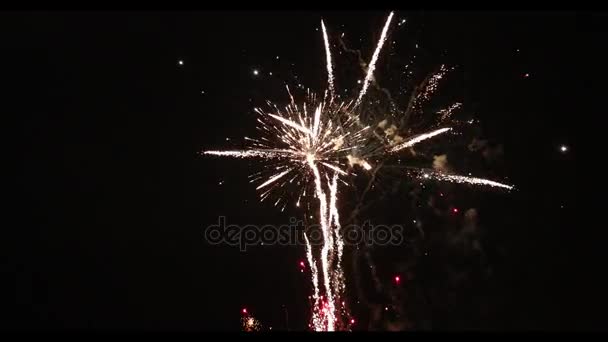 Movimiento Lento Hermosos Fuegos Artificiales Separados Sobre Fondo Negro — Vídeos de Stock