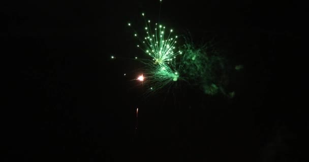 Movimiento Lento Hermosos Fuegos Artificiales Separados Sobre Fondo Negro — Vídeos de Stock