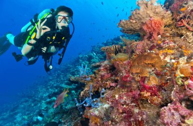 Genç kadın dalgıç mercan resif keşfetmek