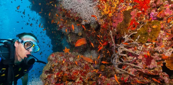 Young man scuba diver exploring coral reef — Stock Photo, Image