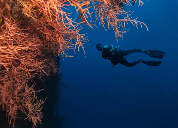 Joven buceador explorando arrecife de coral —  Fotos de Stock