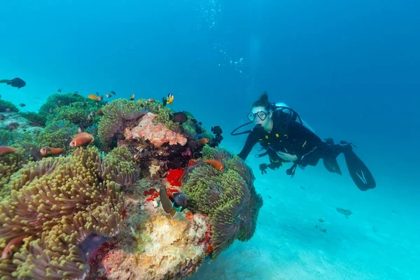 Mujer joven buceadora explorando arrecife de coral —  Fotos de Stock