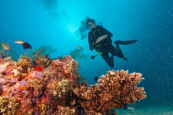 Молодая женщина ныряльщик с аквалангом исследует коралловый риф — стоковое фото