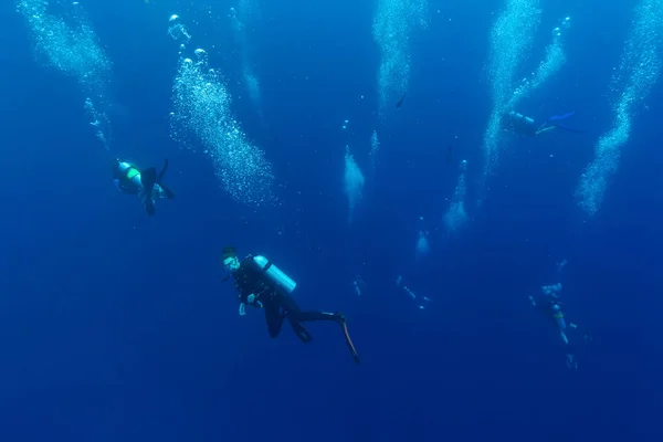 Group of scuba divers descending into deepness — Stock Photo, Image