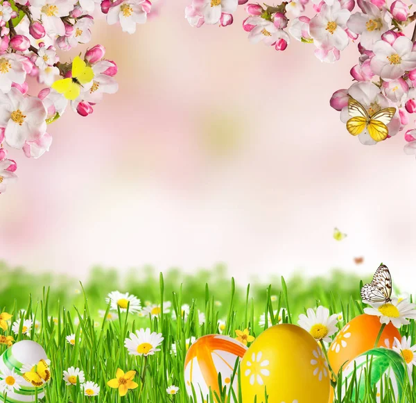 Идиллический весенний луг с пасхальными яйцами и бабочками с мякотью — стоковое фото