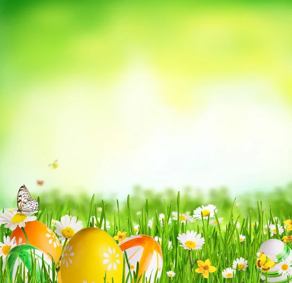 Идиллический весенний луг с пасхальными яйцами и бабочками — стоковое фото