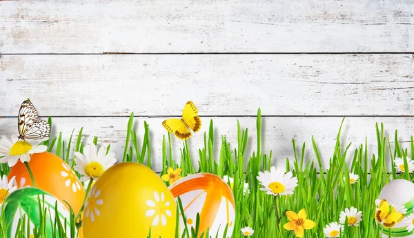 Idyllic spring meadow with Easter eggs and butterflies — Stock Photo, Image