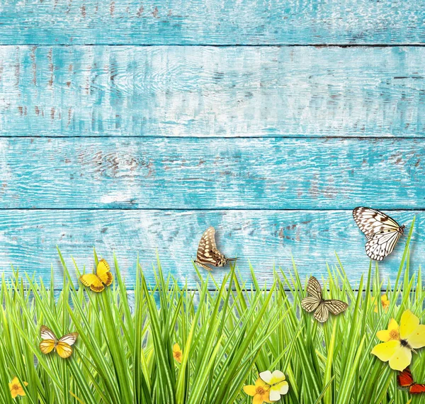 목가적인 봄 풀밭에 오래 된 나무 판자로 나비와 함께 — 스톡 사진
