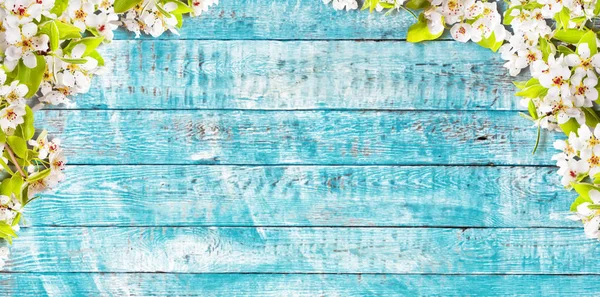 Blooming cherry blossoms with old wooden planks. — Stock Photo, Image