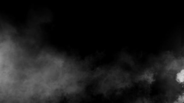 Zeitlupe Realistischer Rauchwirkung Auf Schwarzem Hintergrund — Stockvideo