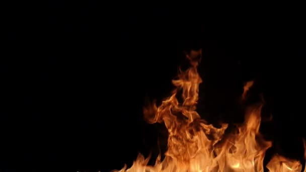 Ağır Çekim Gerçekçi Yangın Blast Siyah Arka Plan Üzerine — Stok video