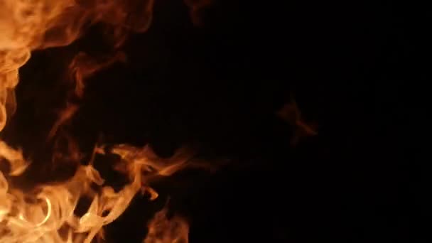 Slow Motion Realistiska Fire Blast Svart Bakgrund — Stockvideo