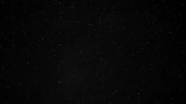 Particules de poussière organique naturelle sur fond noir. Particules scintillantes avec Bokeh. Mouvement lent .