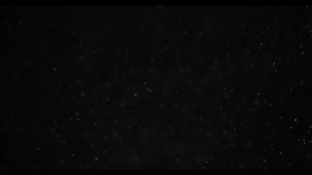 Natürliche Organische Staubpartikel Auf Schwarzem Hintergrund Glitzerpartikel Mit Bokeh Zeitlupe — Stockvideo