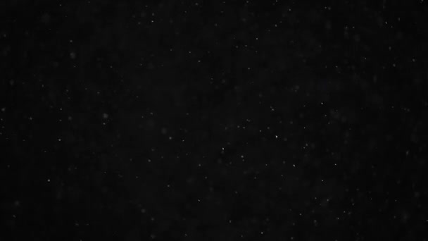 Particules de poussière organique naturelle sur fond noir. Particules scintillantes avec Bokeh