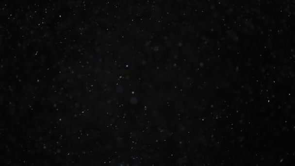 Natural Organic Dust Particles Black Background Glittering Particles Bokeh Slow — Stock Video