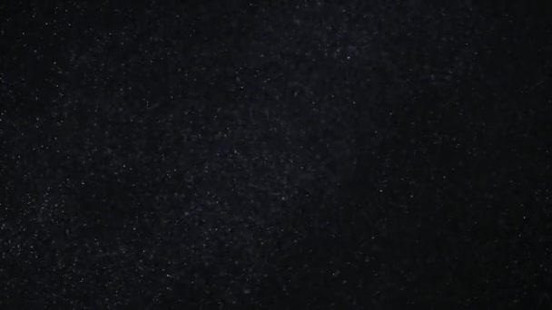 黒の背景に天然の有機塵粒子 ボケで記事をグリッター — ストック動画