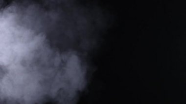 Yavaş hareket izole siyah arka plan üzerine beyaz toz puf
