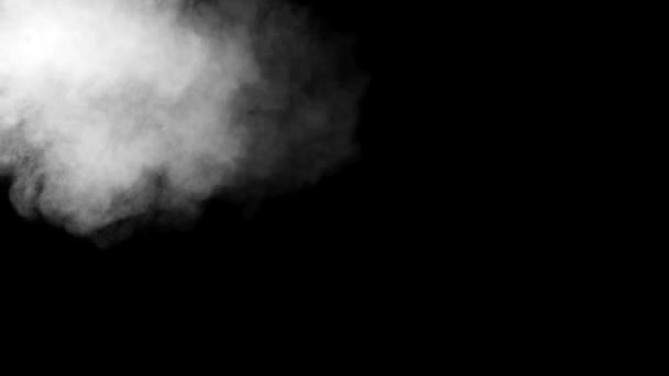 黑色背景白色粉末粉扑的慢运动 — 图库视频影像