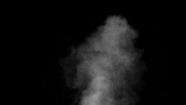 Zeitlupe Von Weißem Puderpuder Isoliert Auf Schwarzem Hintergrund — Stockvideo
