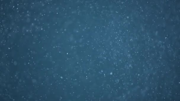 青の背景に現実的な粒子のスローモーション — ストック動画