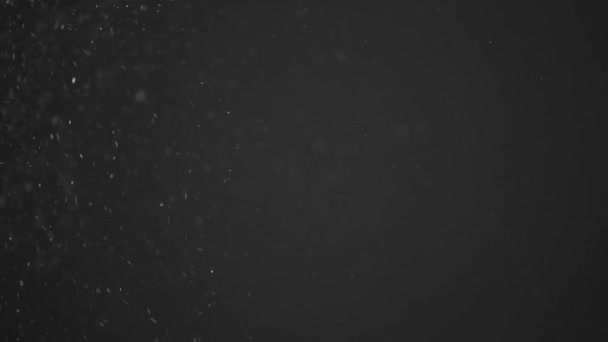 黑色背景下逼真粒子的慢运动 — 图库视频影像