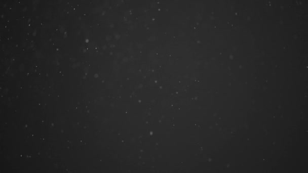 Zeitlupe Realistischer Teilchen Auf Schwarzem Hintergrund — Stockvideo