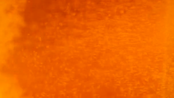 Деталь Пивного Скла Бульбашками Піною Крупним Планом Пивний Фон Повільний — стокове відео
