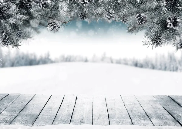 Kerstmis achtergrond met vuren takken en kegels met sneeuw fl — Stockfoto